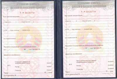 Диплом ВУЗ Беларусь с 2002 по 2010 года