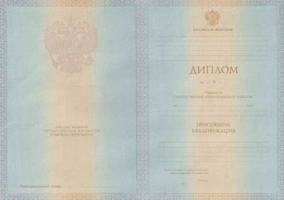 Диплом степень специалист 2012, 2013 годы