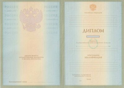 Диплом степень бакалавра с 2004 по 2008 год