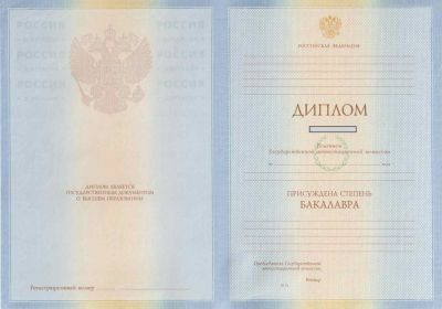 Диплом степень бакалавр 2009, 2010 годы