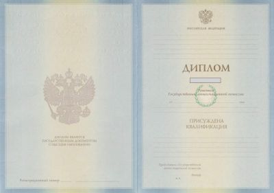 Диплом степень бакалавр 2011 год