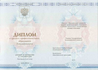 Диплом техникума с 2014 по 2024 год