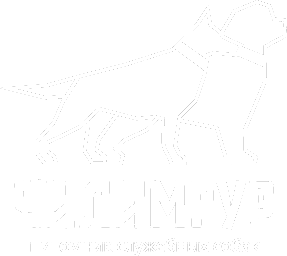 Питомник служебных собак Чилимгур